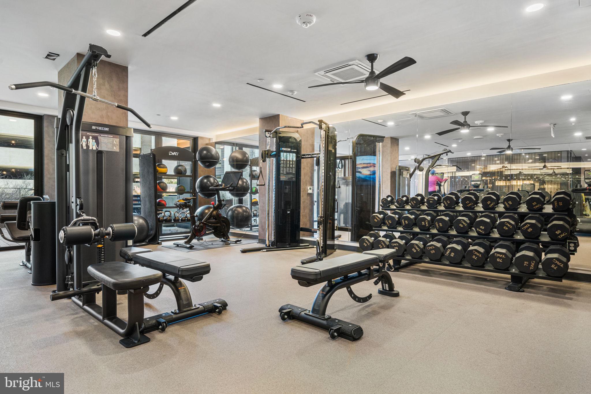 255 W FALLS STATION BOULEVARD 704