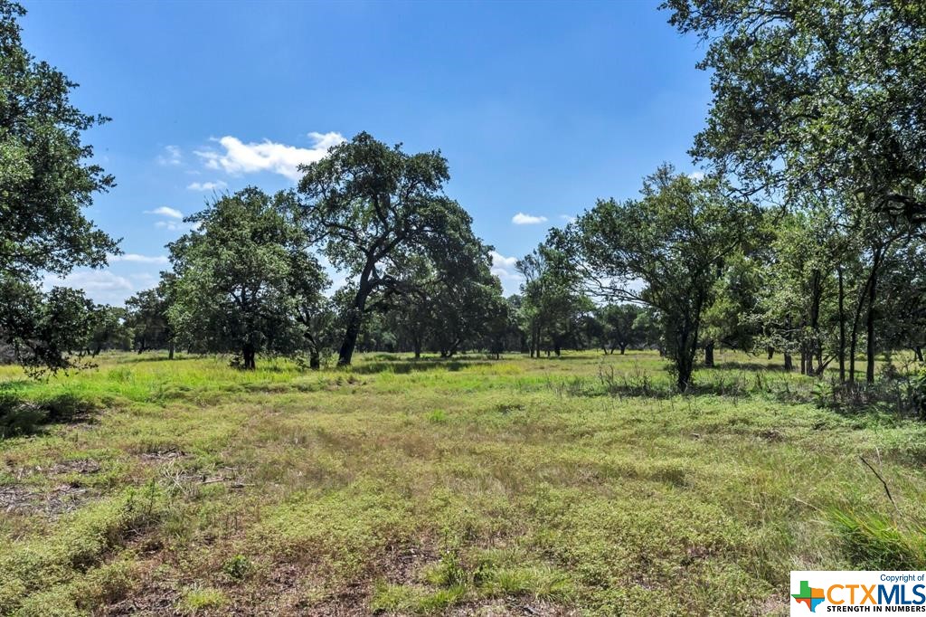8341 Brewer Lane Lane