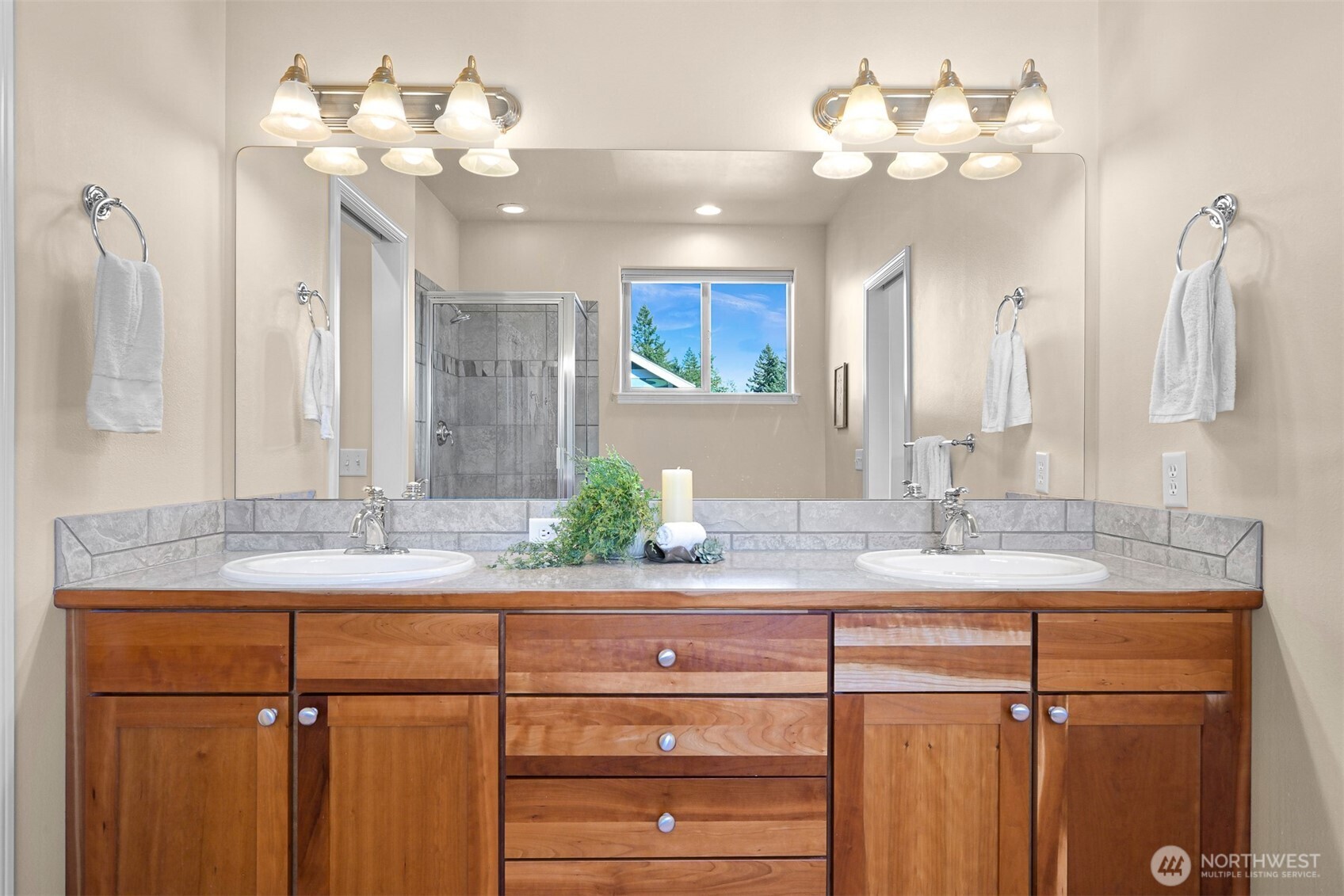 1225 Birch Falls Drive