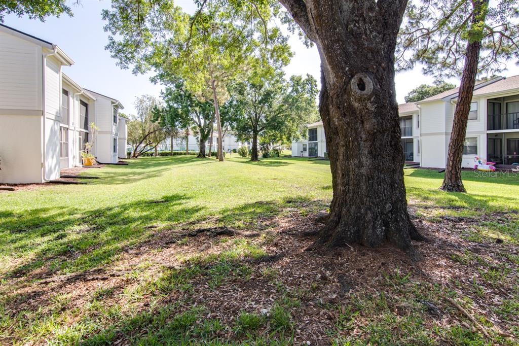 409 MEADOW LANE Unit: 409