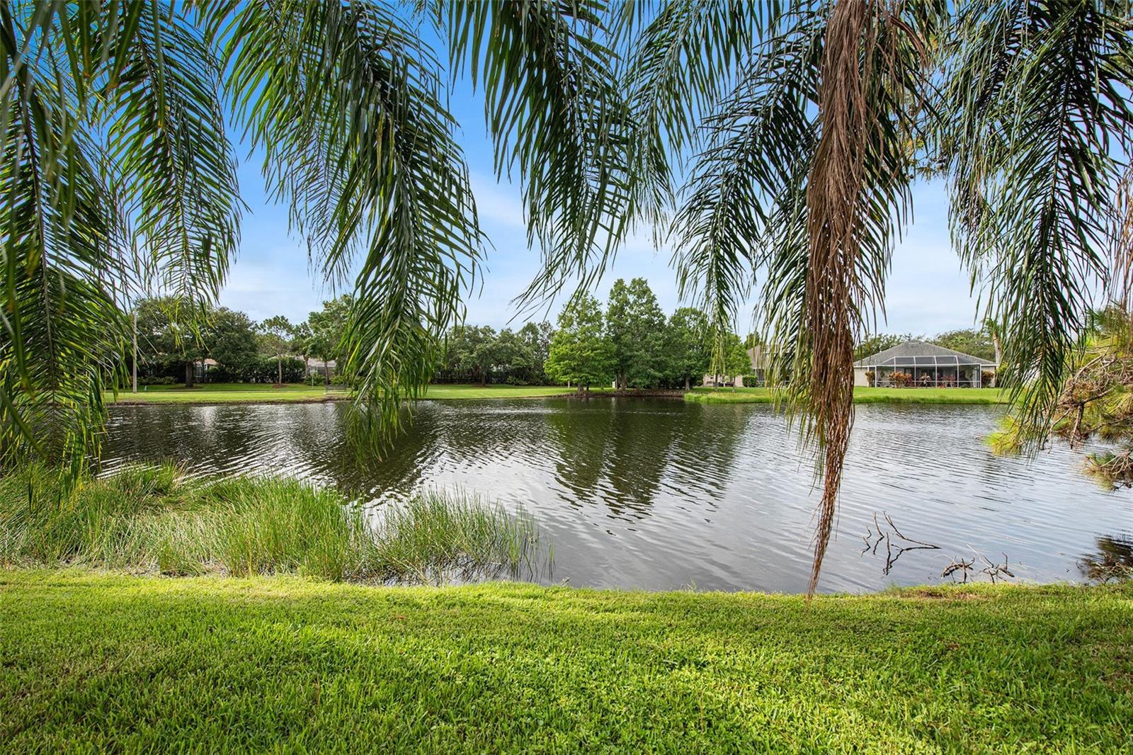 10747 TAVISTOCK DRIVE