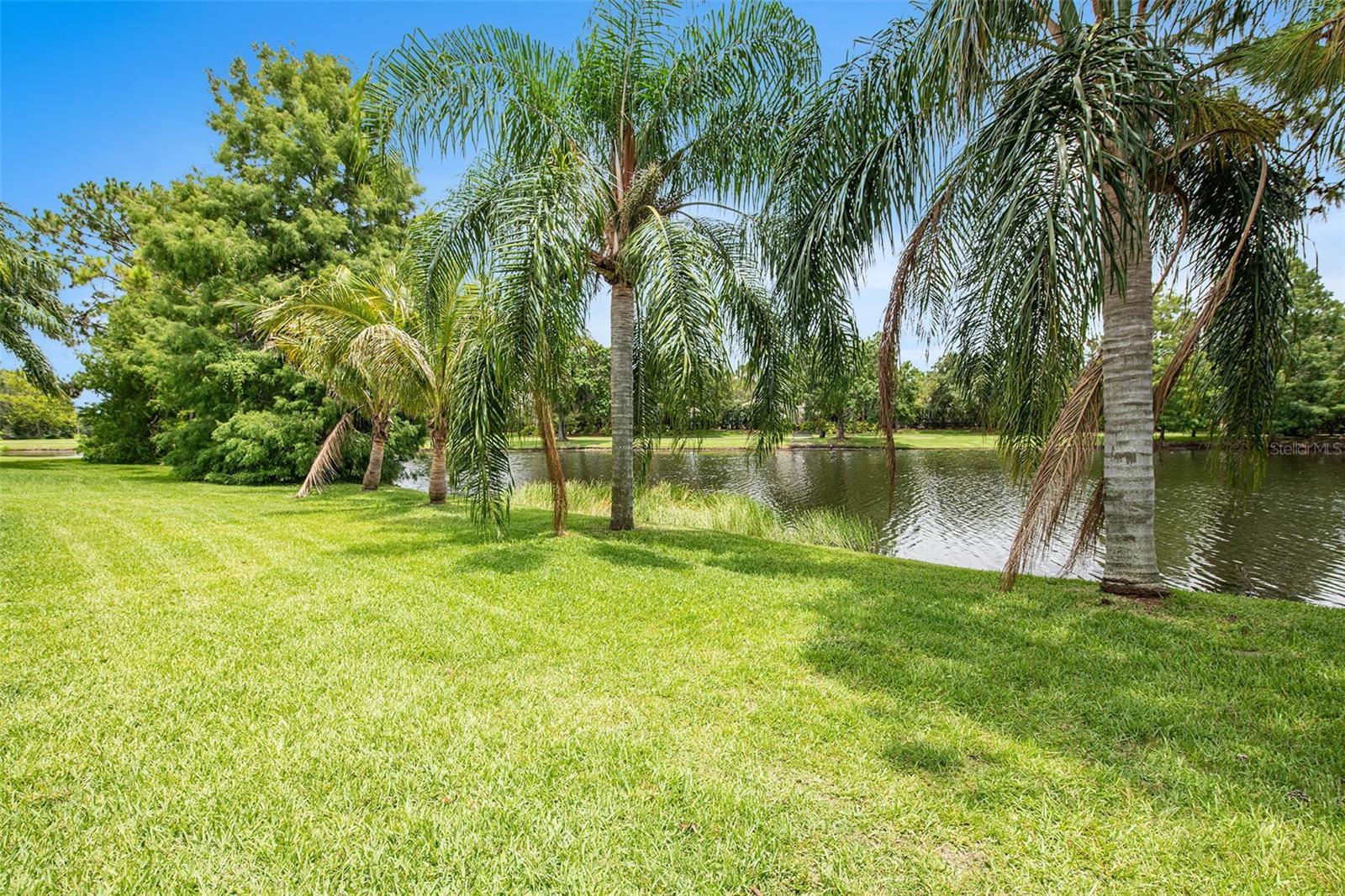 10747 TAVISTOCK DRIVE