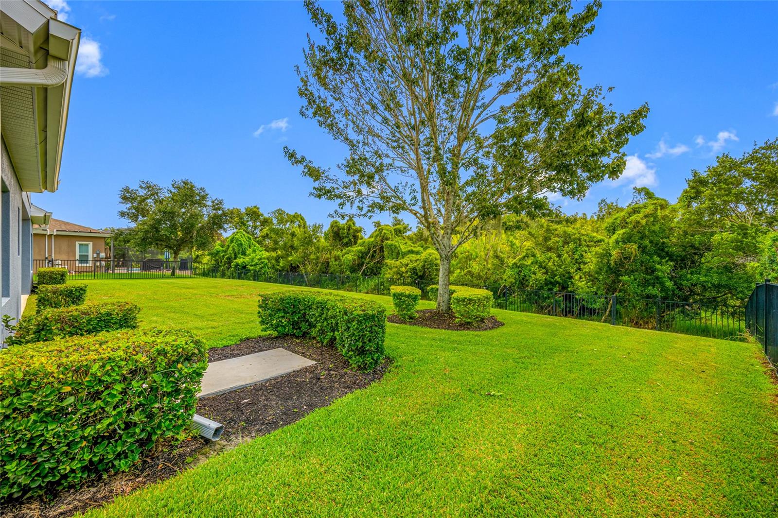 8312 SWISS CHARD CIR