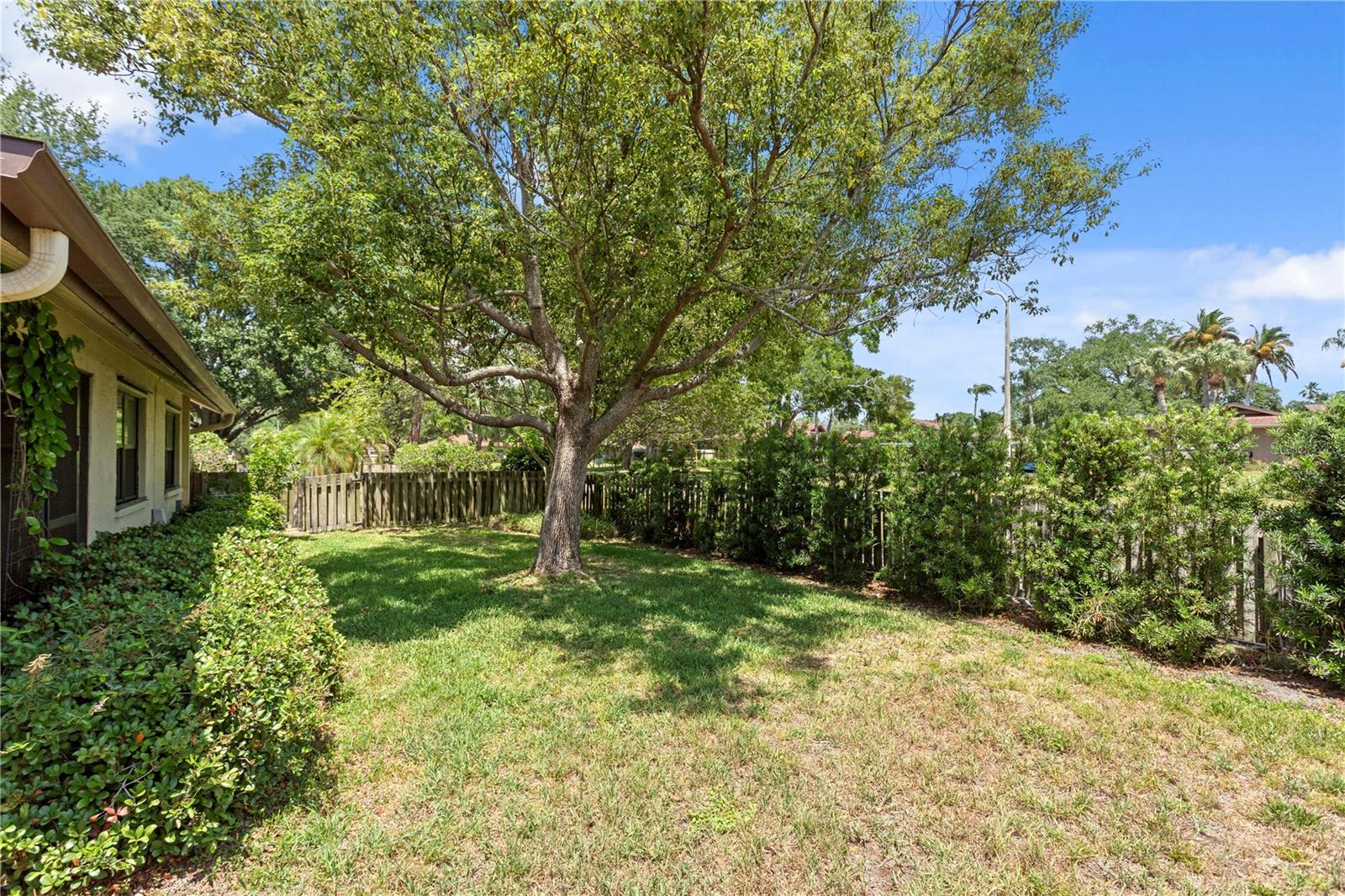 2449 BAY BERRY CT