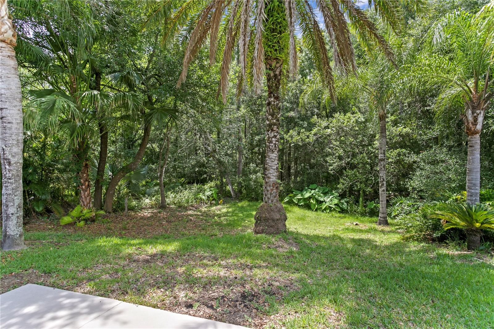 6123 SAVOY CIR