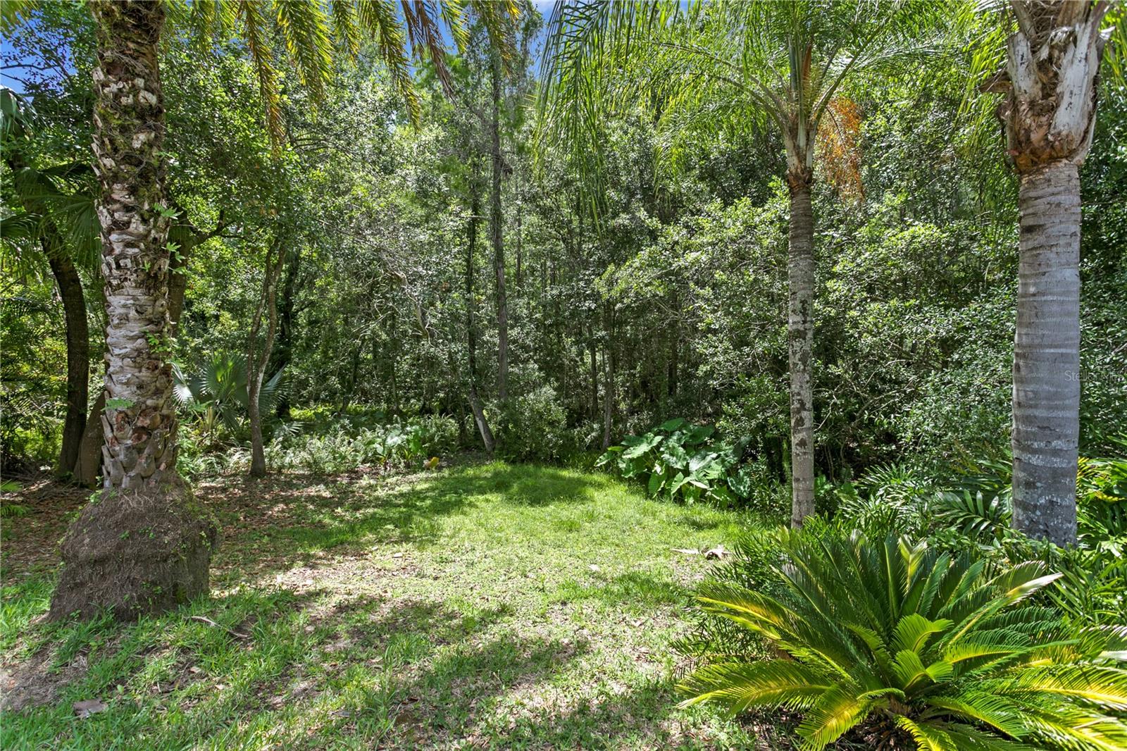 6123 SAVOY CIR