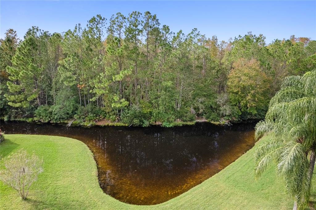 15406 SIR MAXWELL COURT