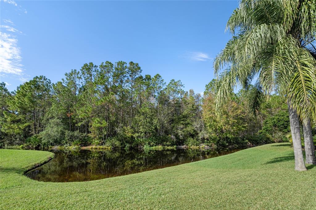 15406 SIR MAXWELL COURT