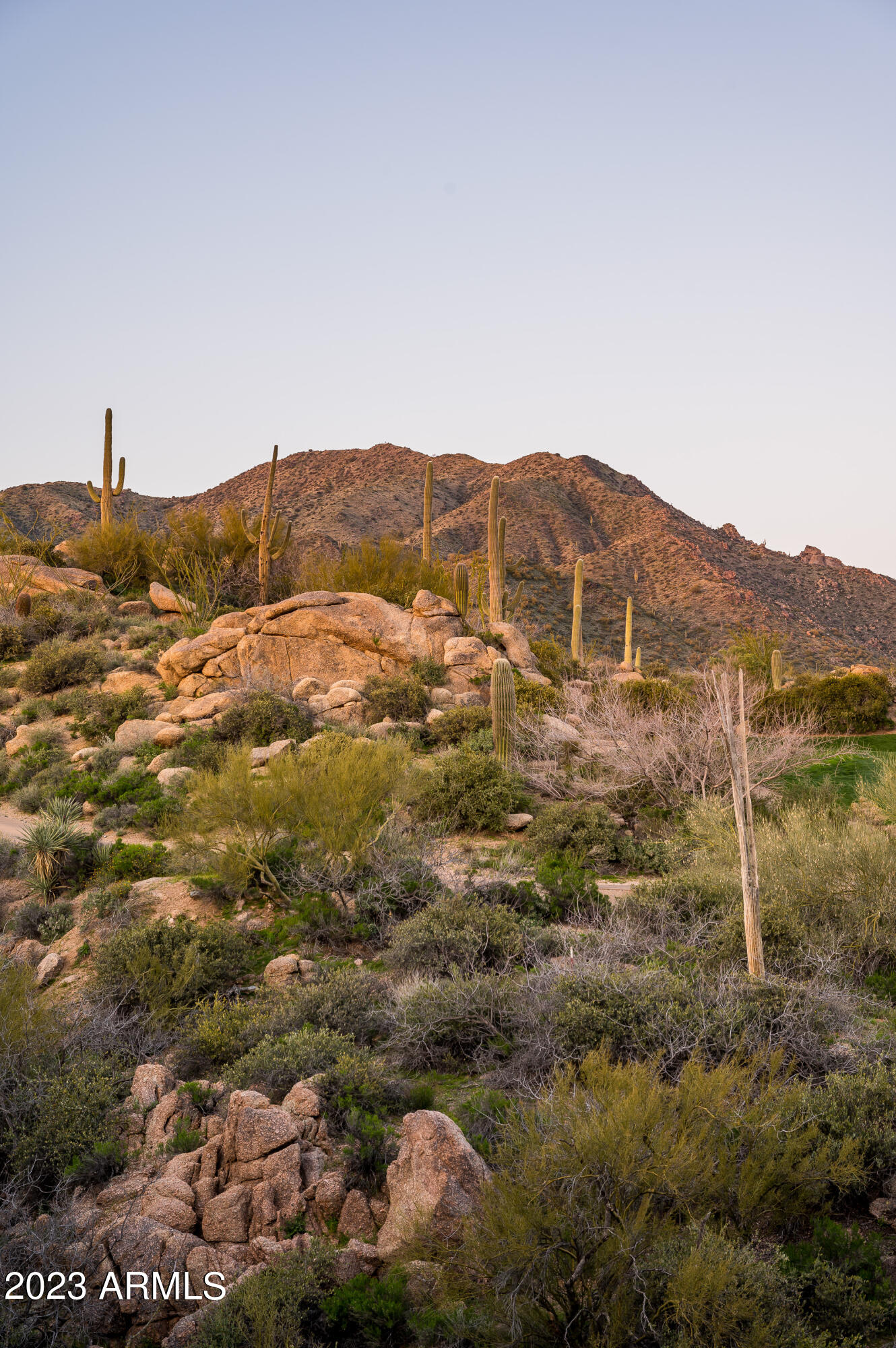 41591 N SAGUARO FOREST Drive