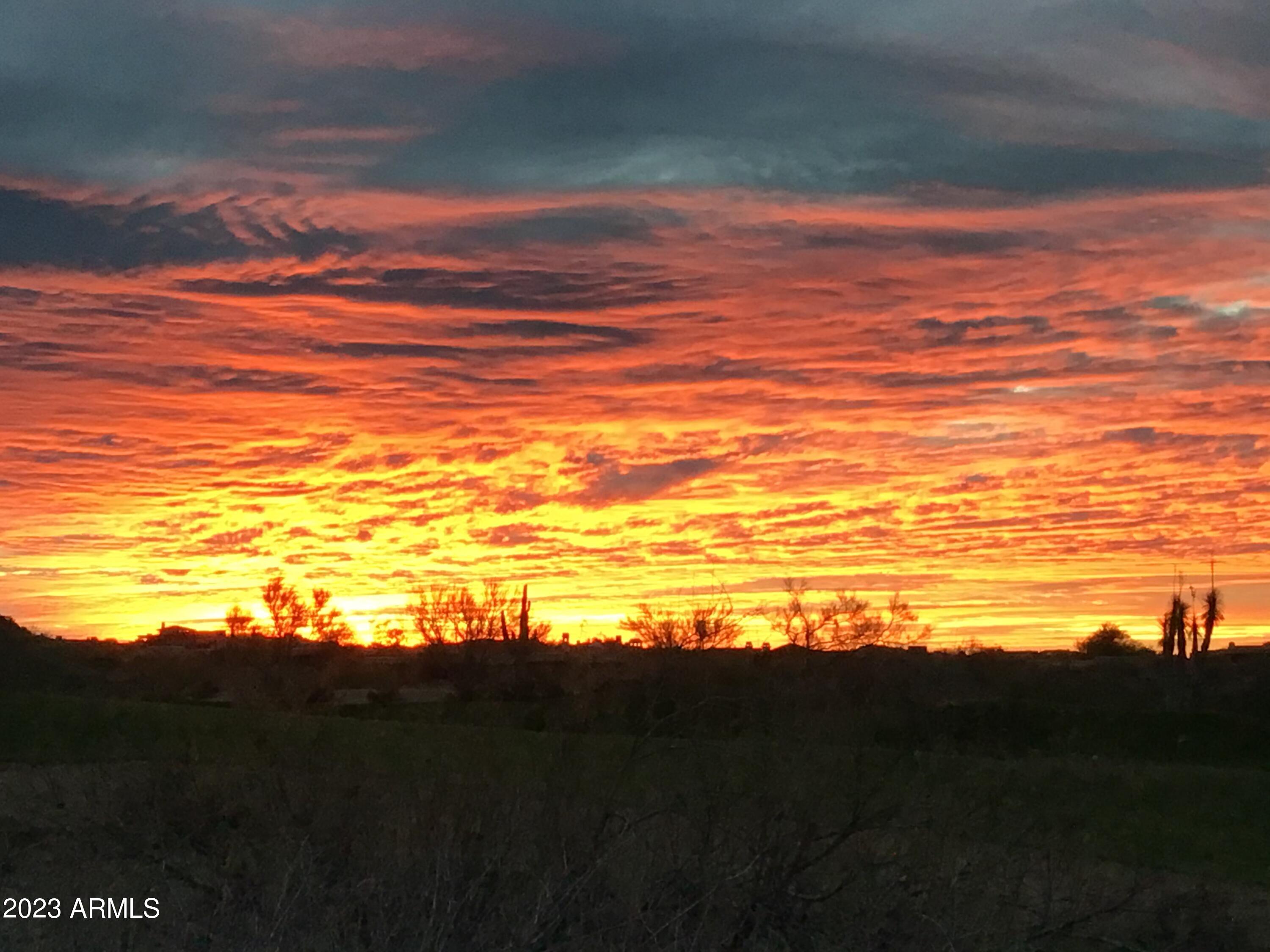 10641 E TAMARISK Way