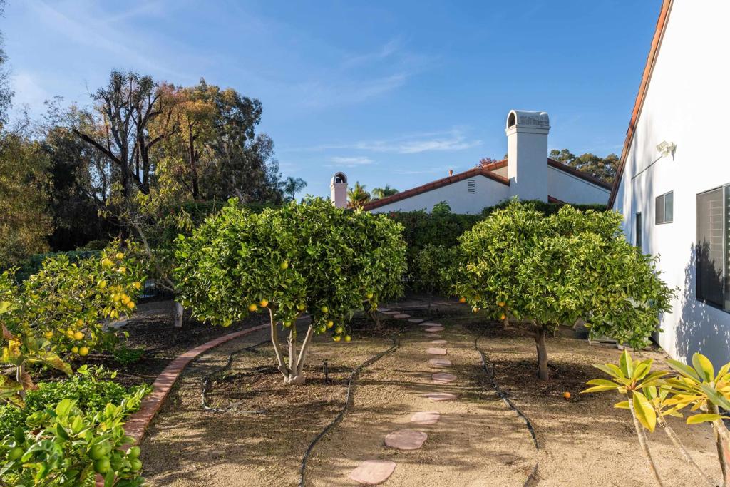 905 Olive Crest Drive