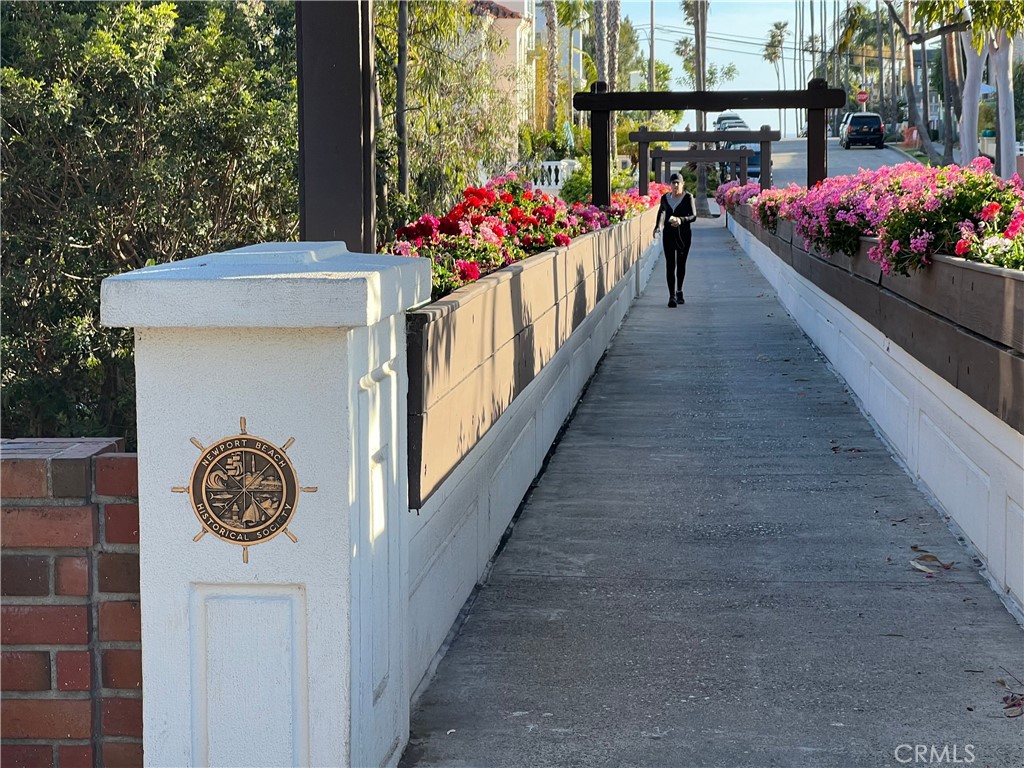 519 .5 Larkspur Avenue