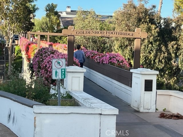 519.5 Larkspur Avenue