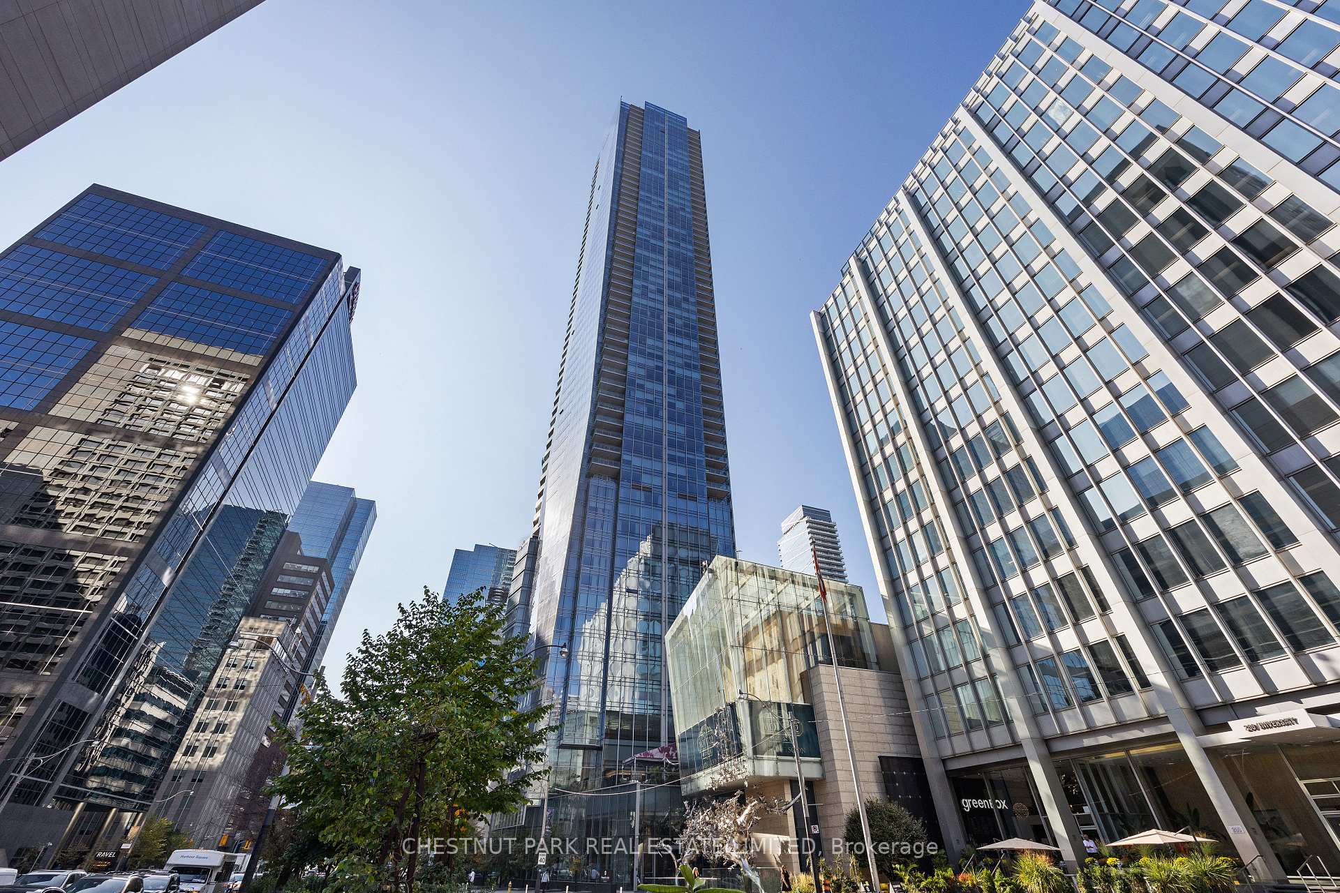 Suite 3006-180 University Avenue