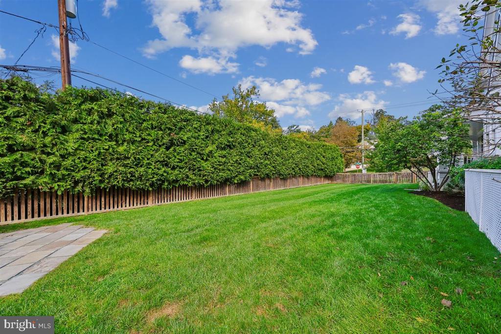 Backyard lawn bordered by a tall hedge and wooden fence, with a stone patio at the left.