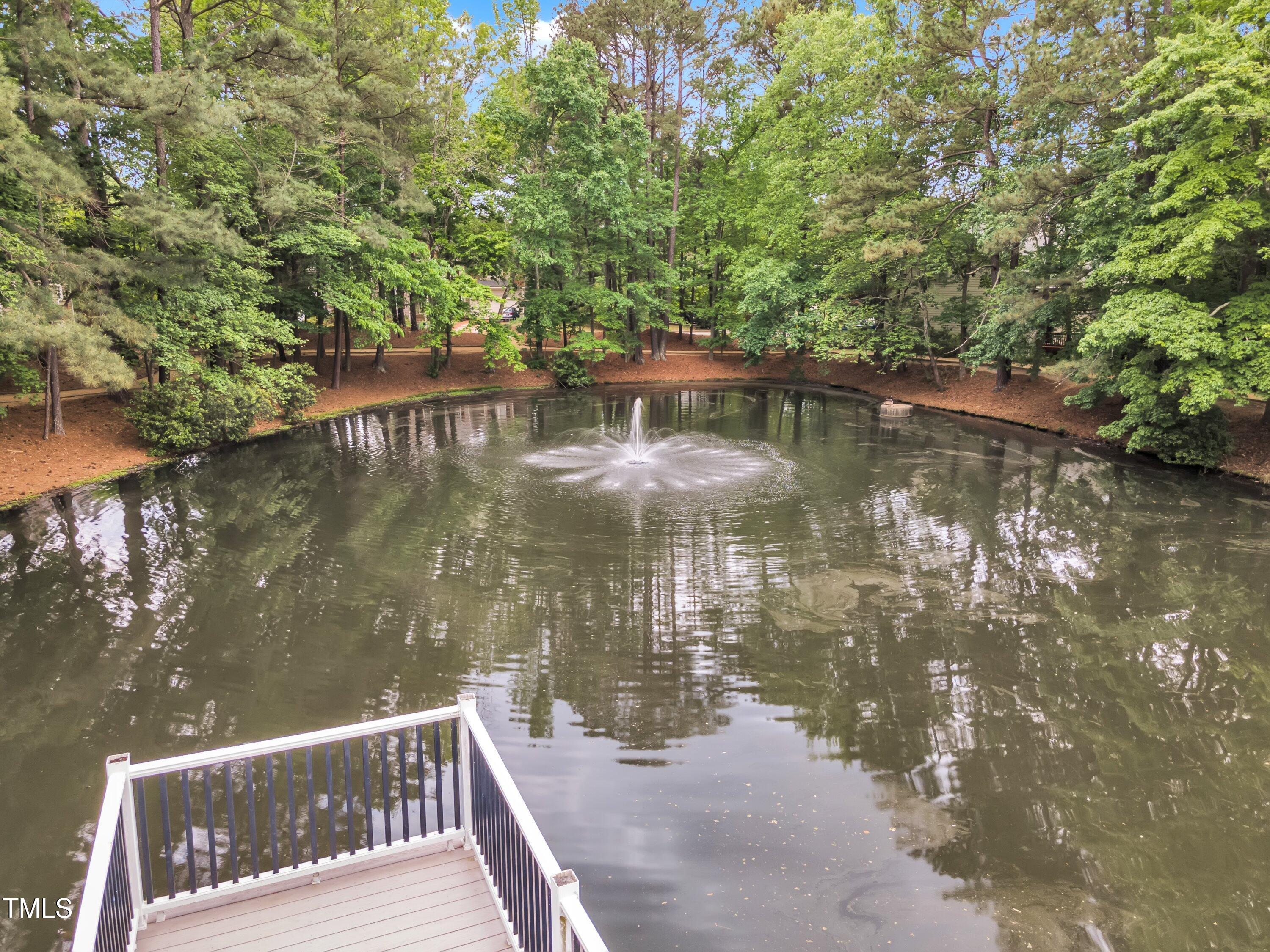 221 Mint Hill Drive