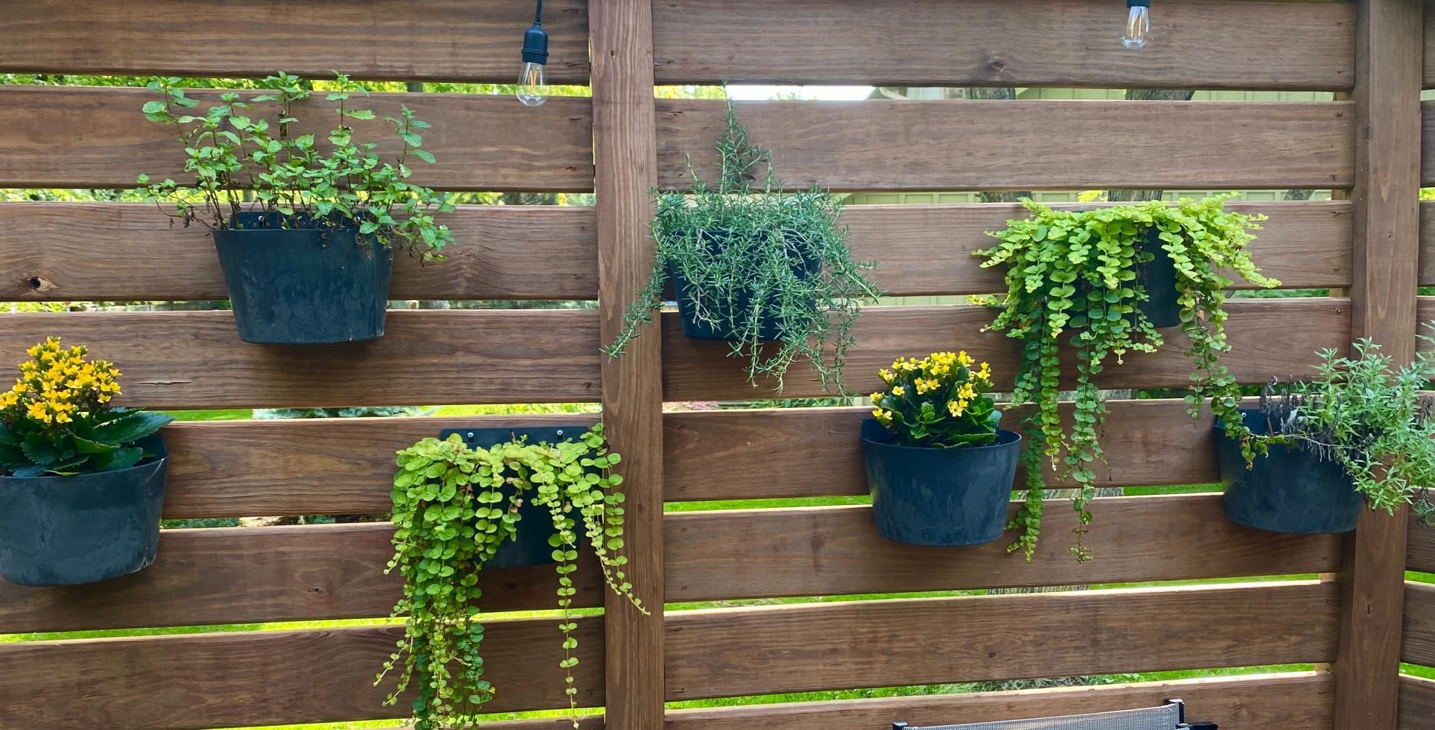 210 Queensland Lane N