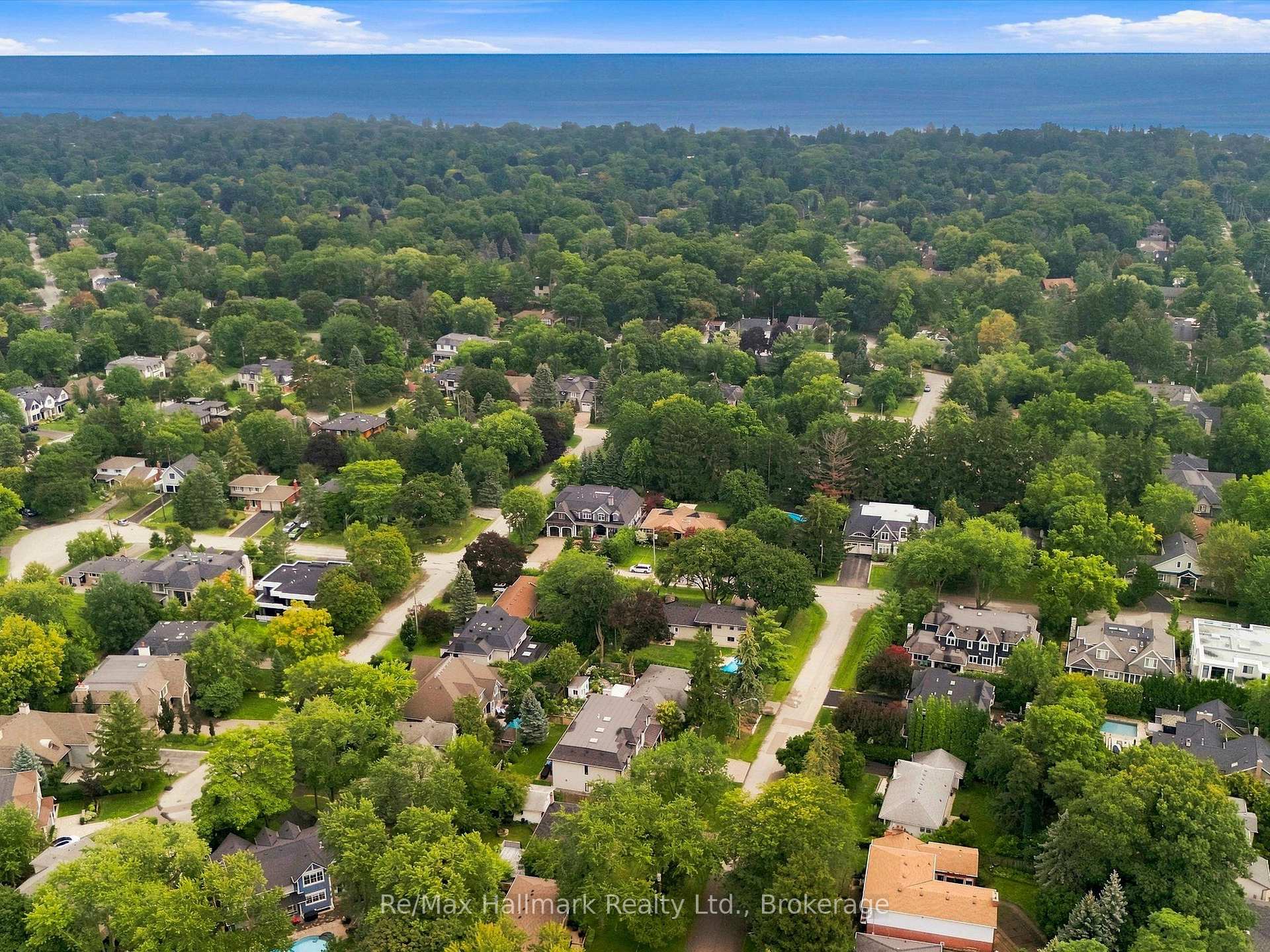 Aerial view of a leafy neighborhood, with homes and streets surrounded by trees and a lake in the distance.
