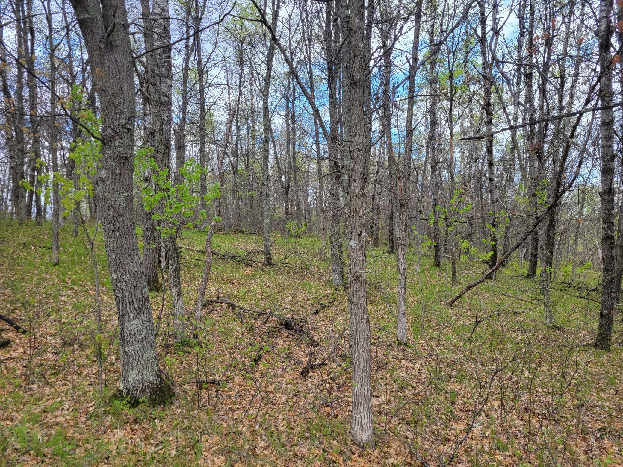 TBD Cherokee Trail