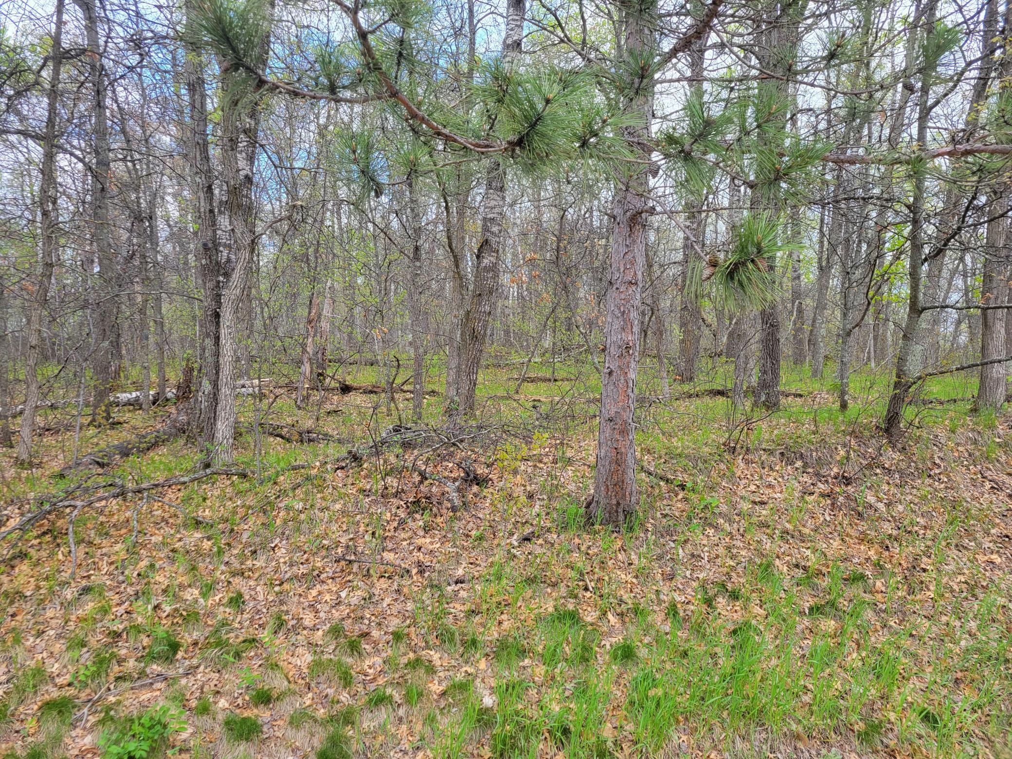 TBD Cherokee Trail