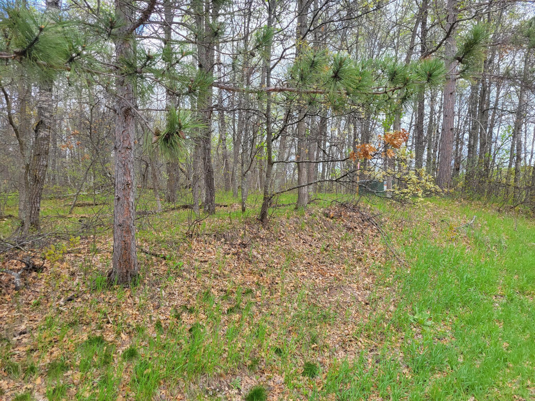 TBD Cherokee Trail
