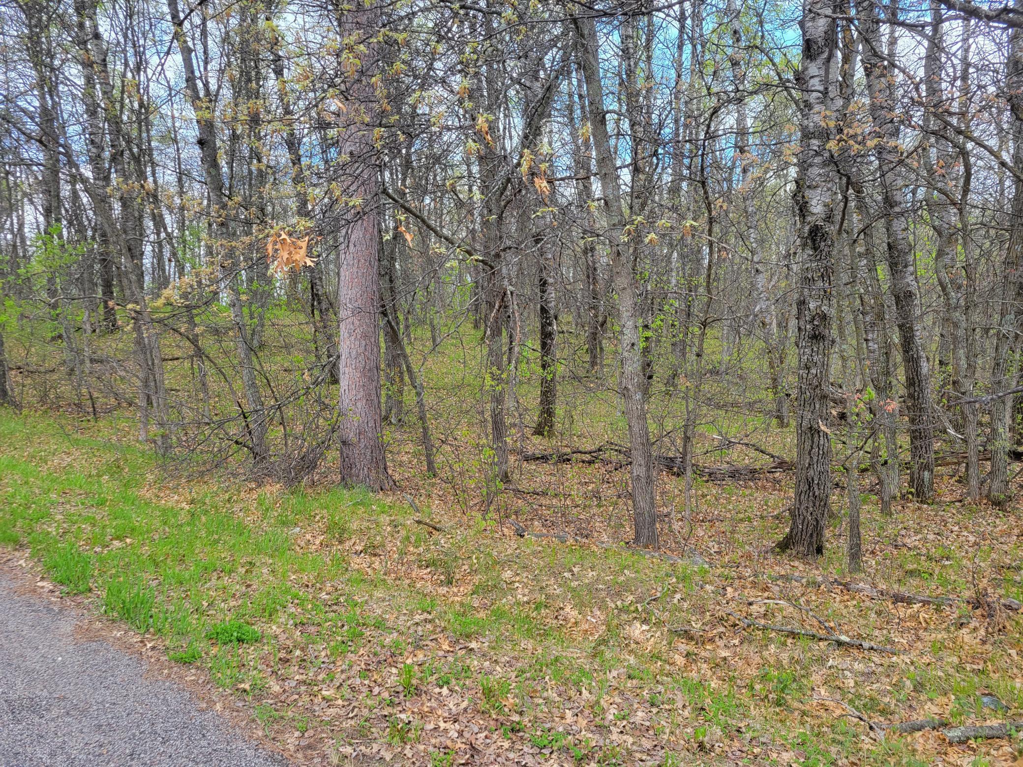 TBD Cherokee Trail