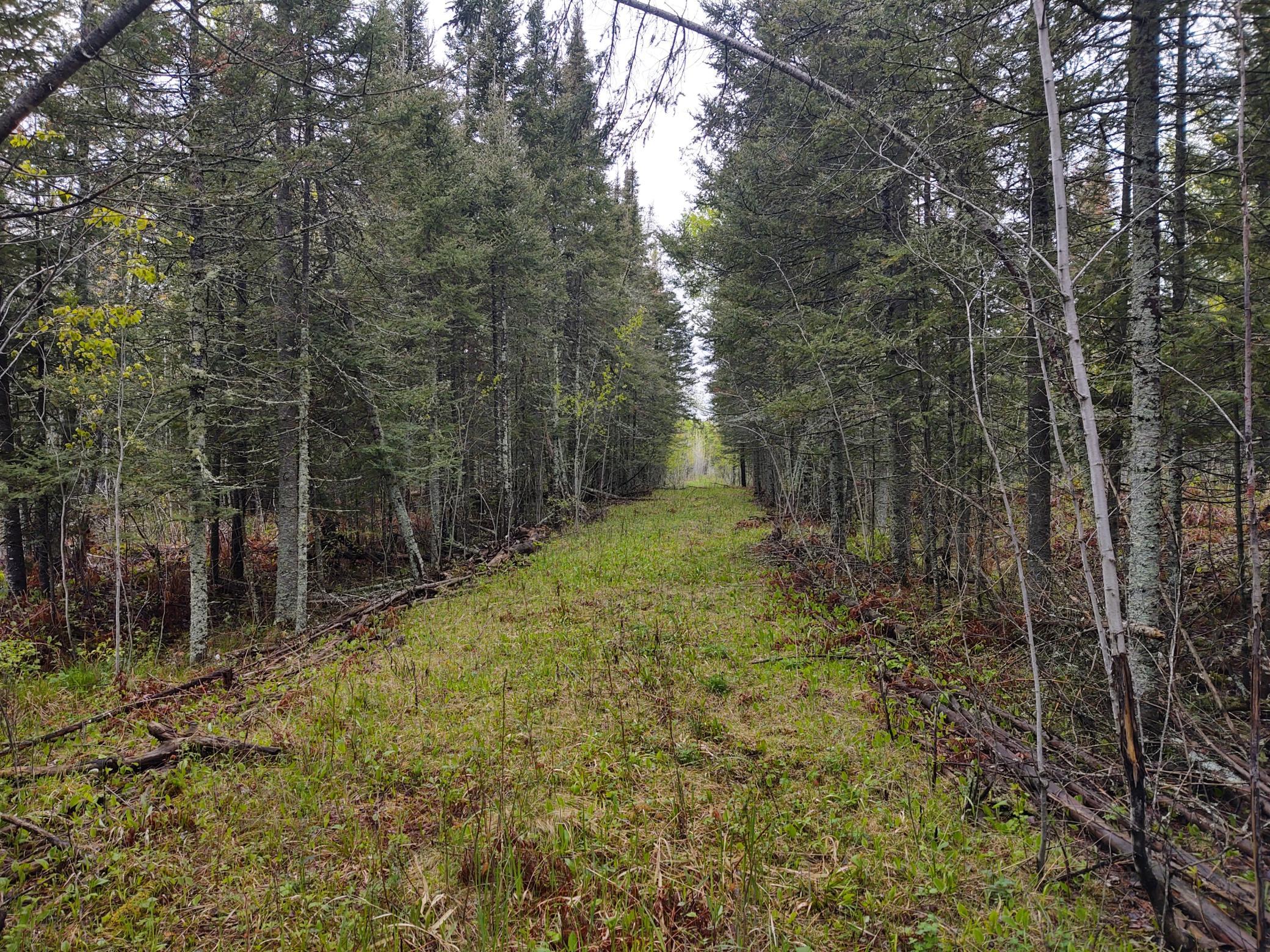 TBD Vermilion Trail