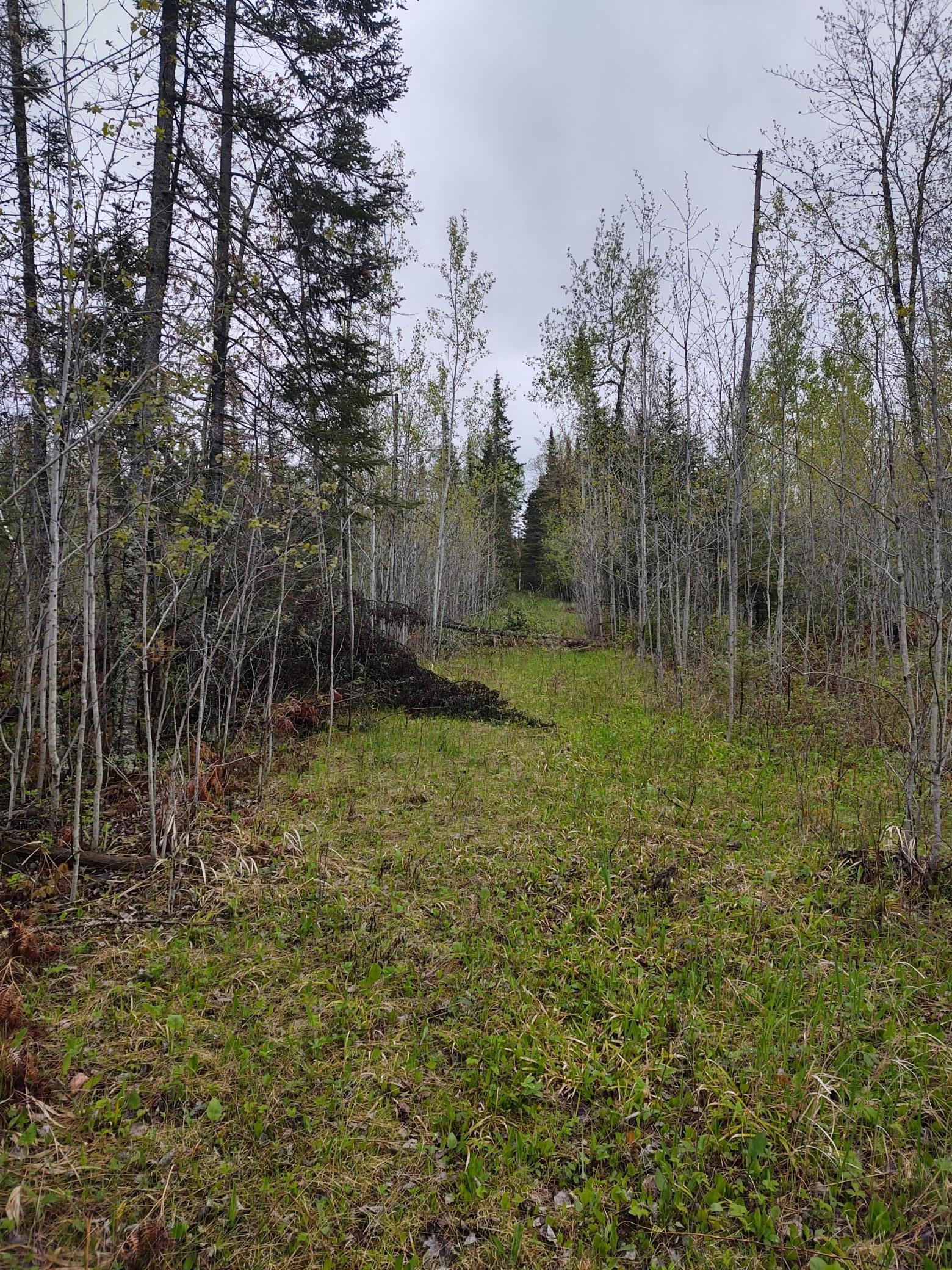 TBD Vermilion Trail