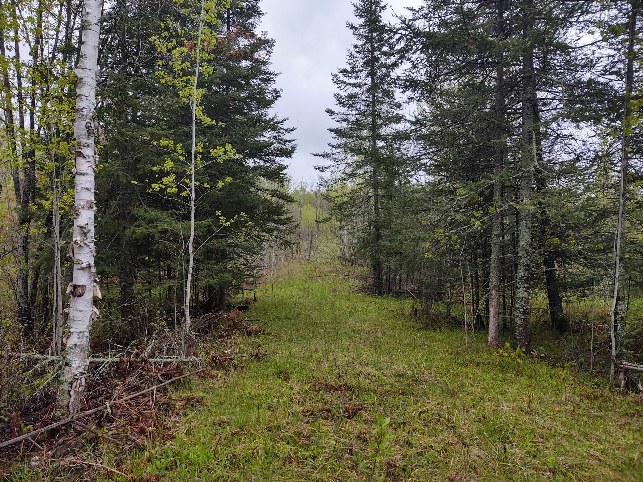 TBD Vermilion Trail