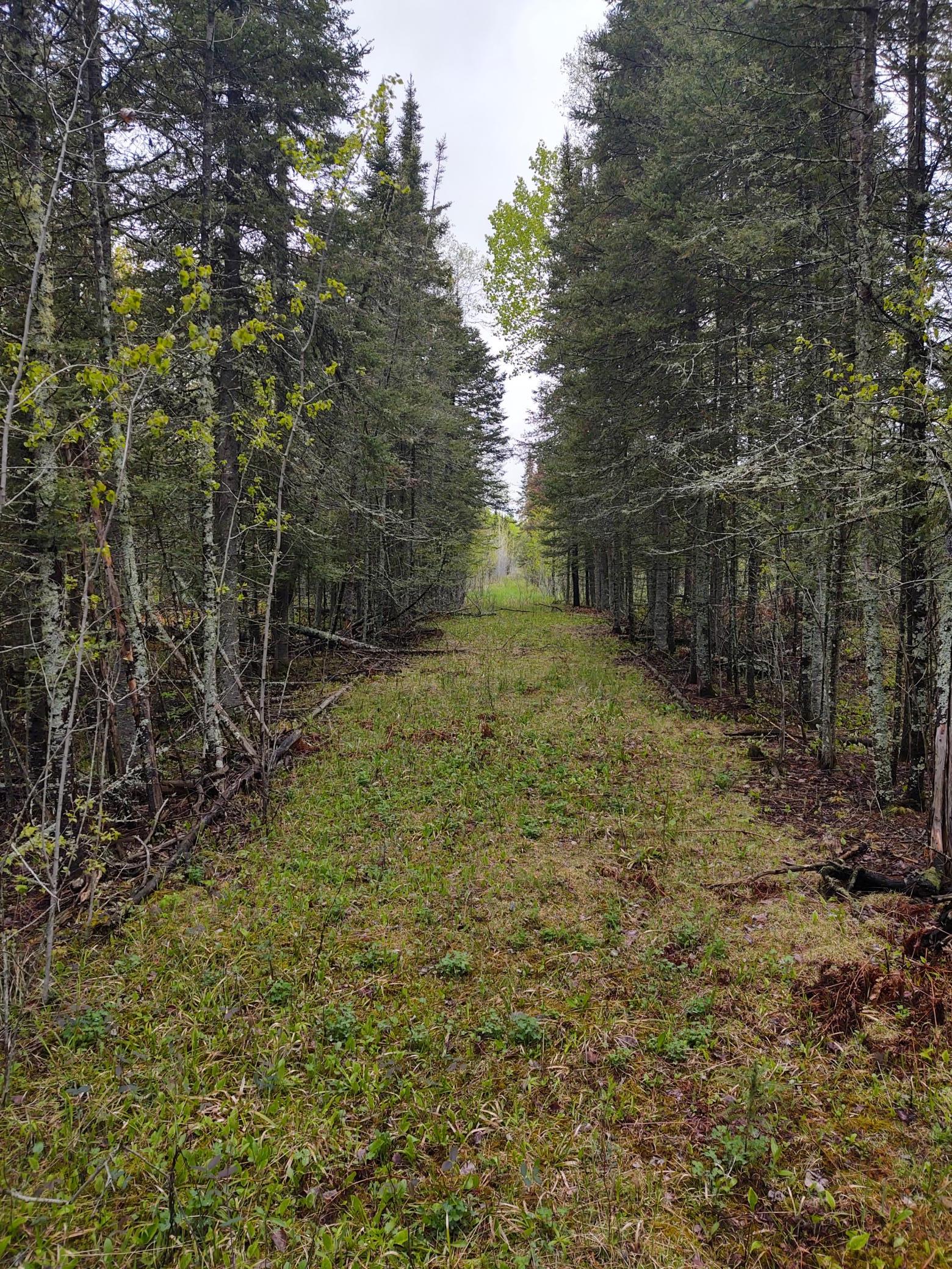 TBD Vermilion Trail