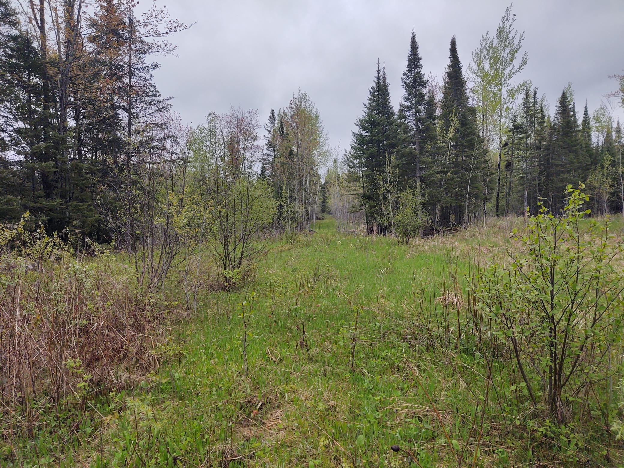 TBD Vermilion Trail
