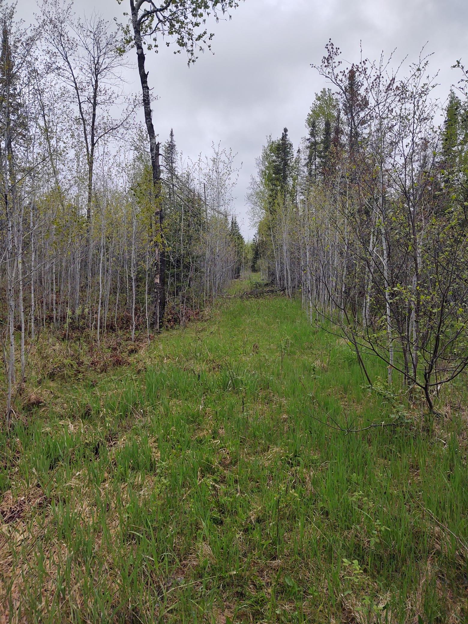 TBD Vermilion Trail