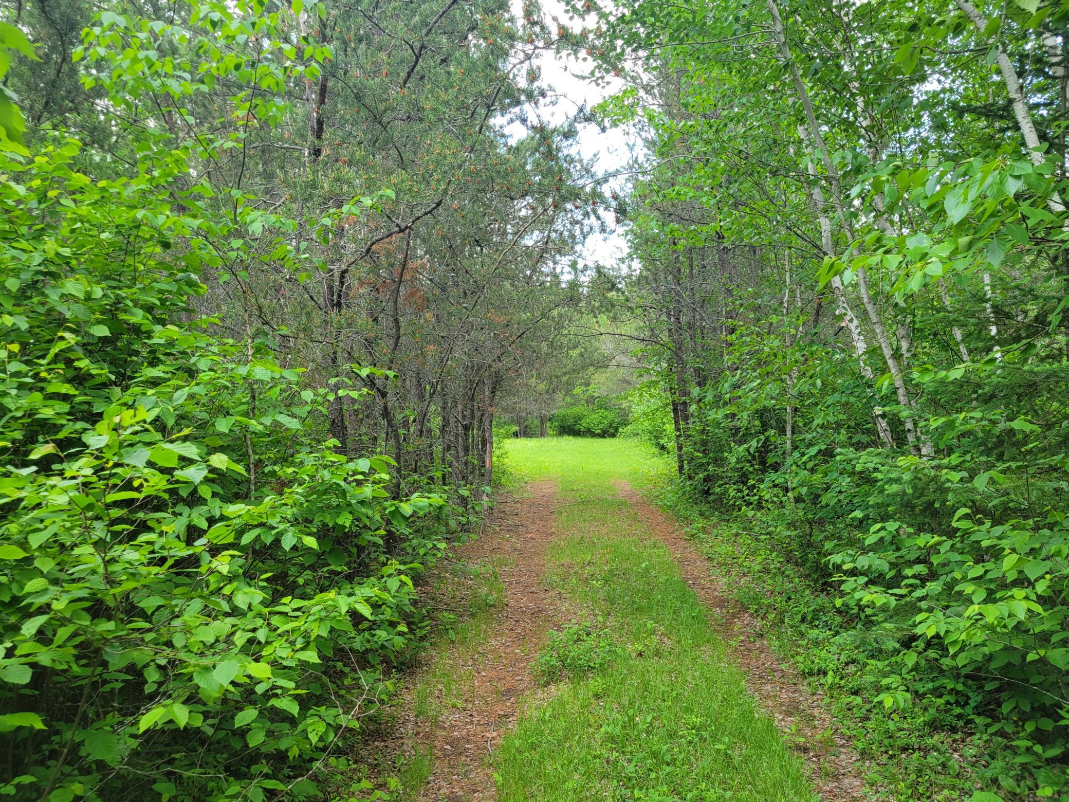 1045B State Trail