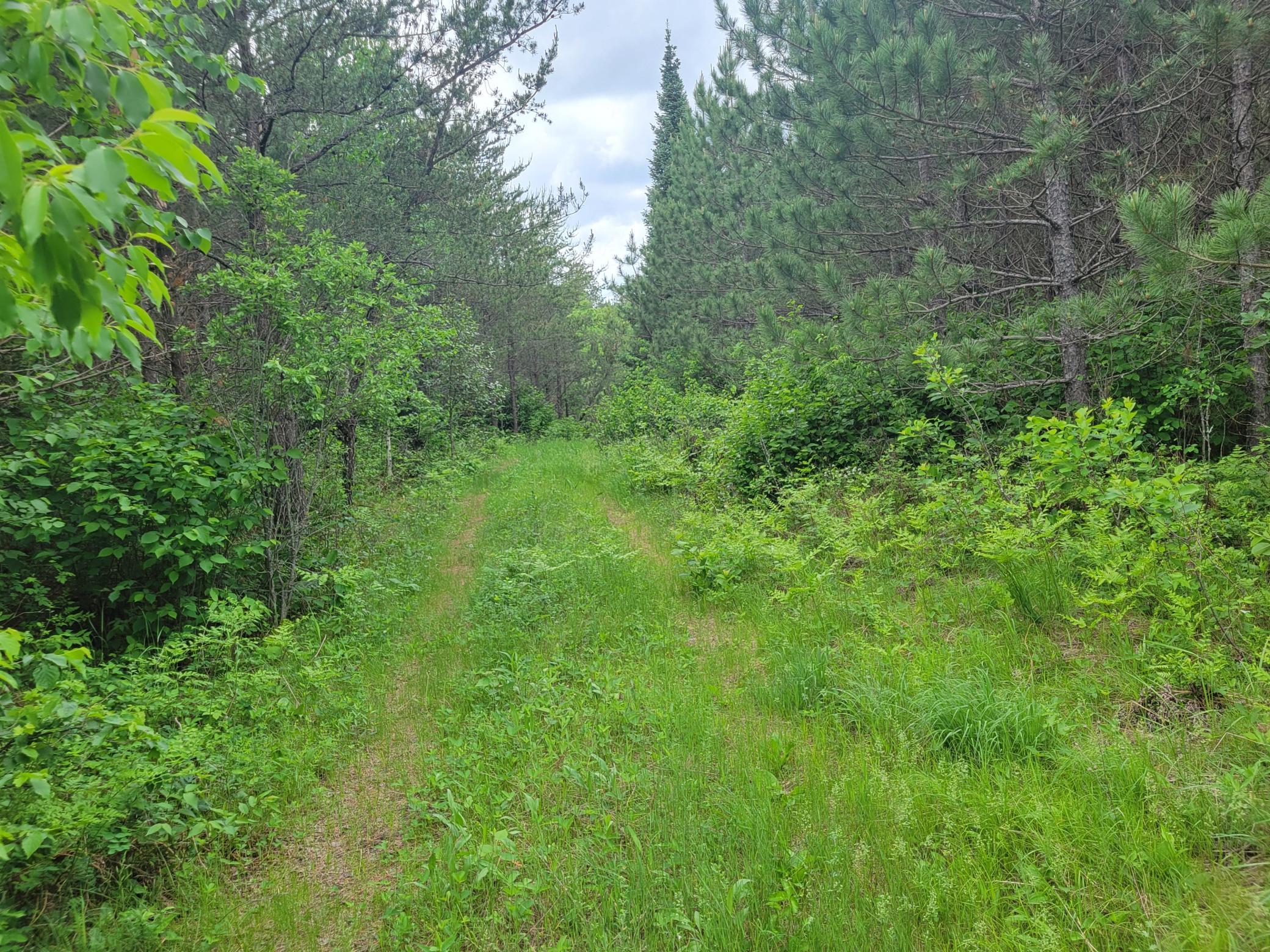 1045B State Trail