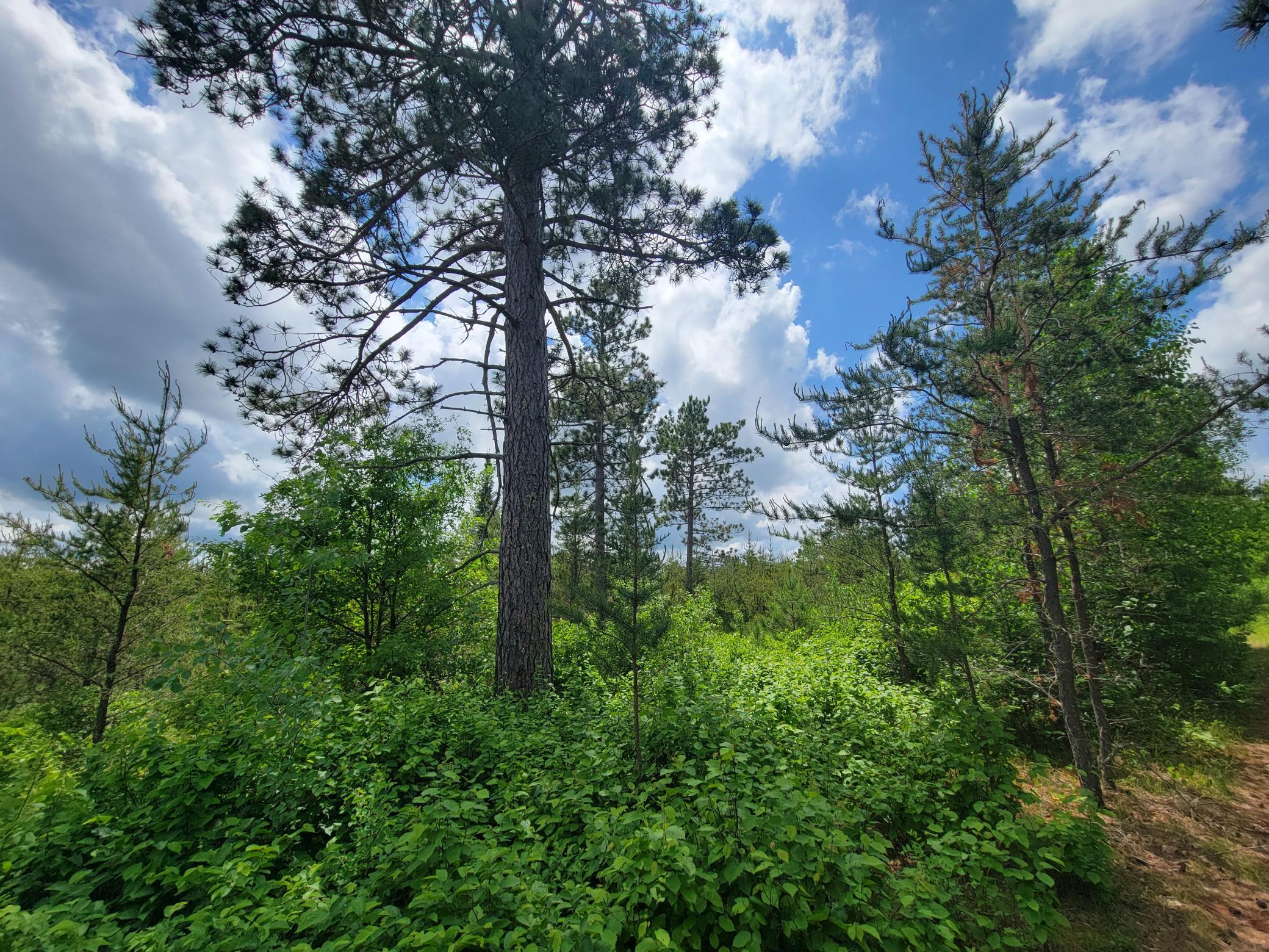 1045B State Trail