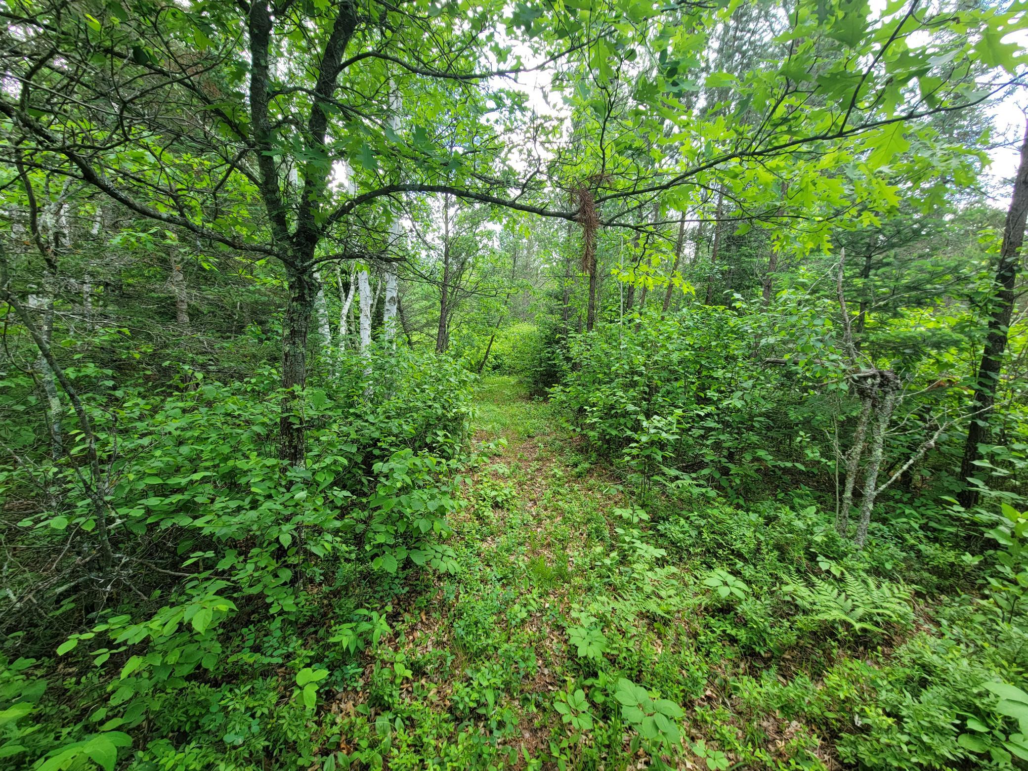 1045B State Trail