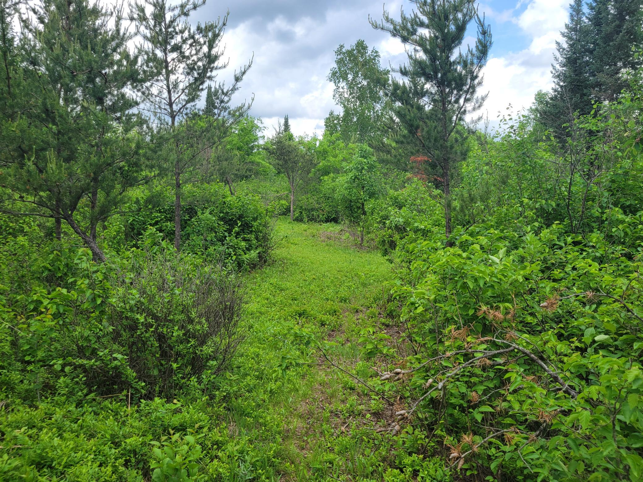 1045B State Trail
