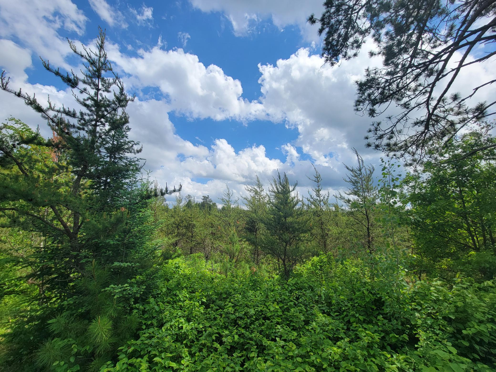 1045B State Trail