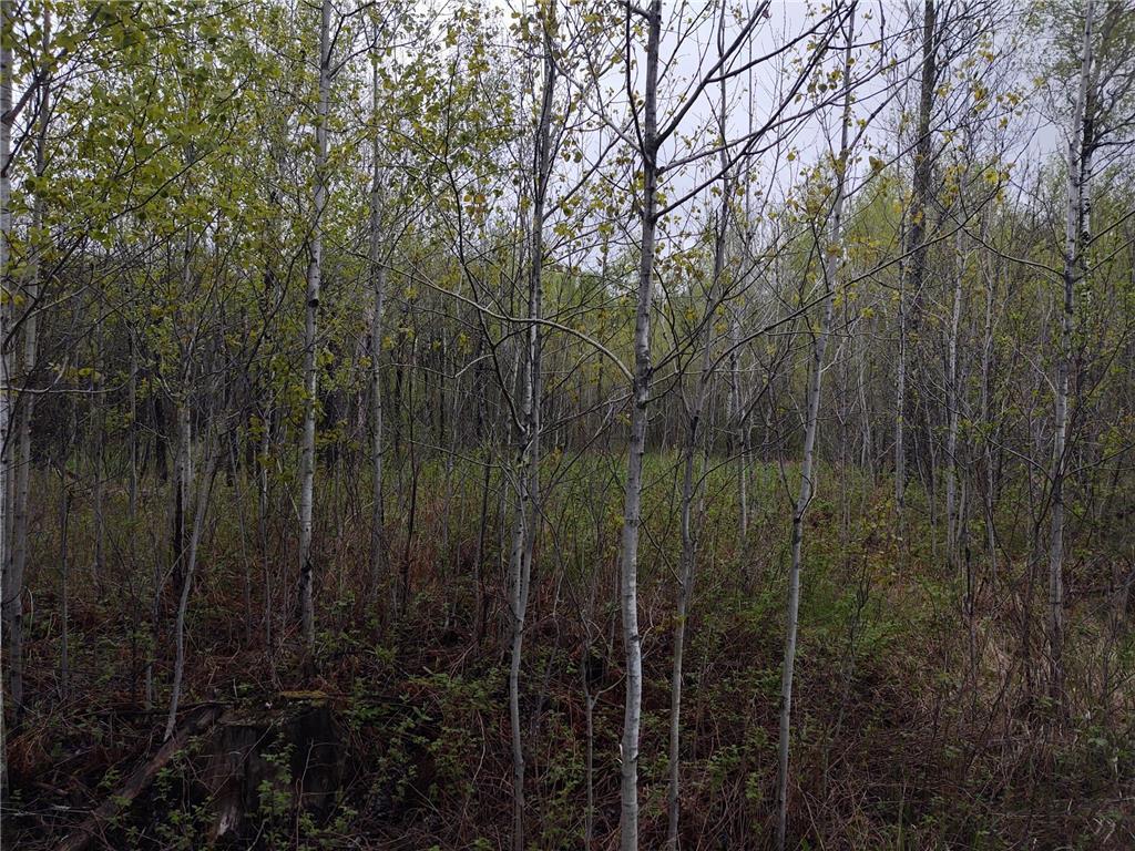 TBD Vermilion Trail