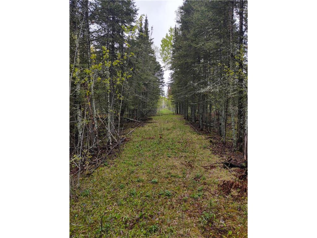 TBD Vermilion Trail