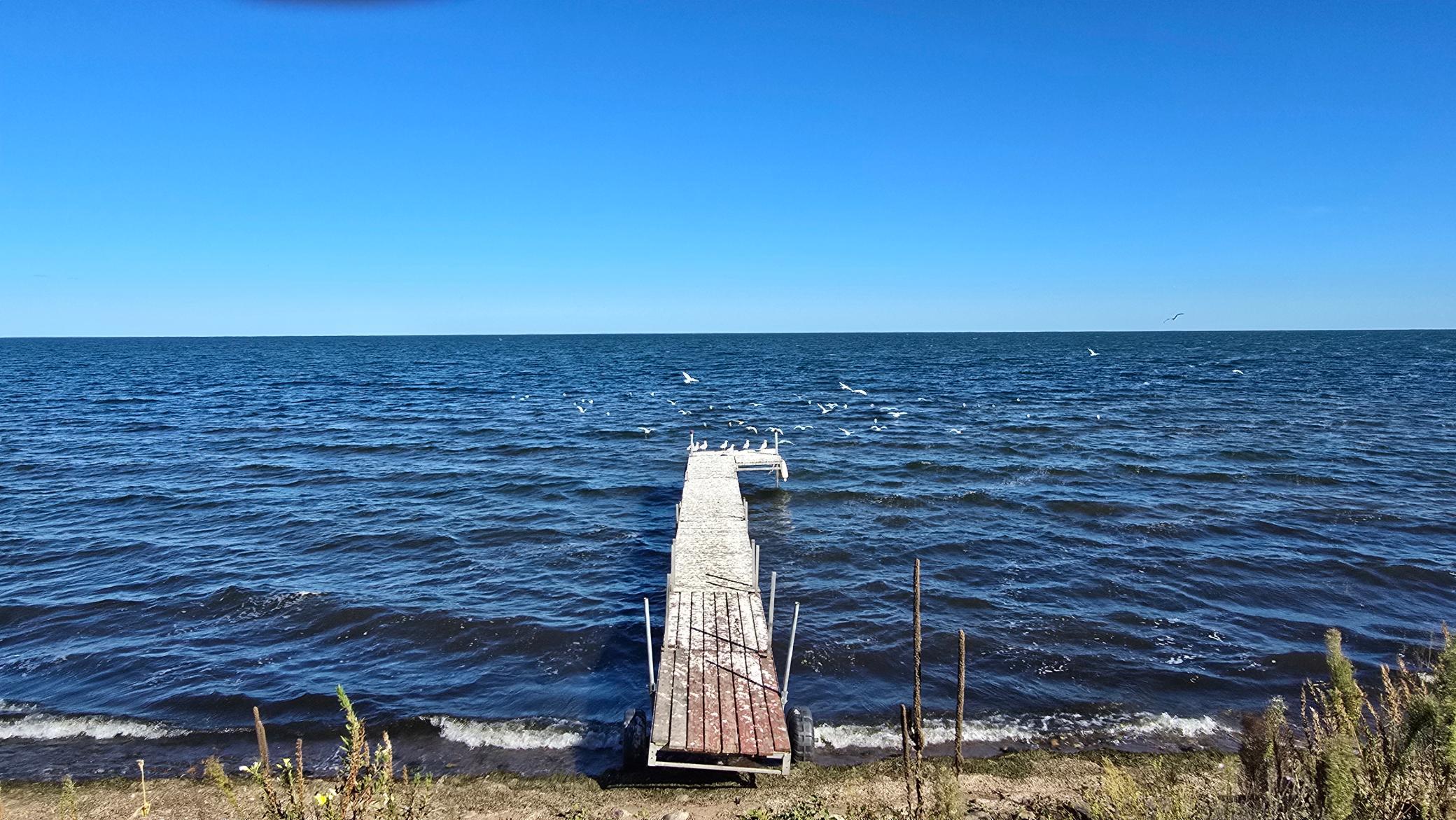 Wooden dock extending into a blue lake, with gulls flying over the water.