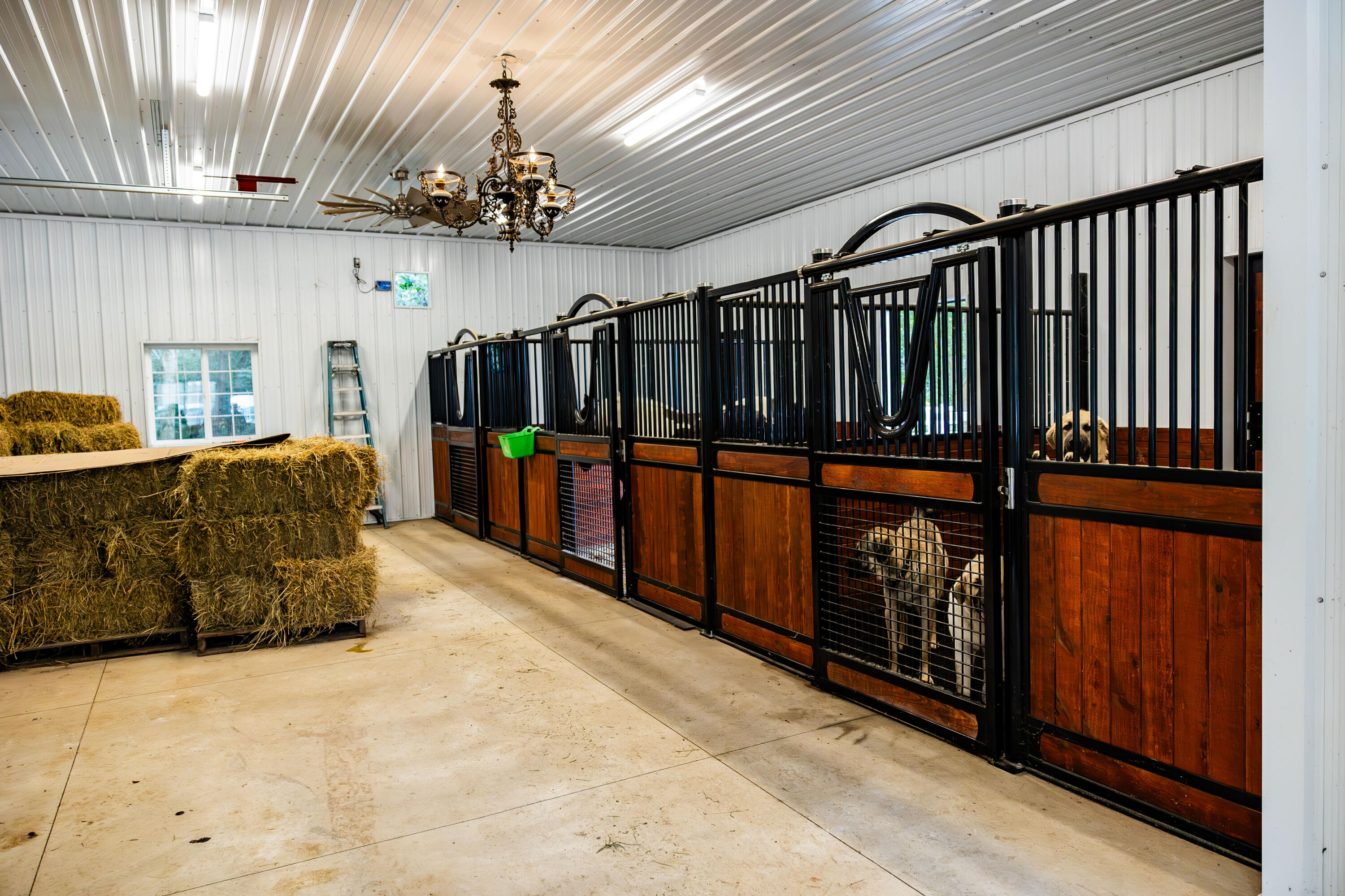 W1940 County Road D -