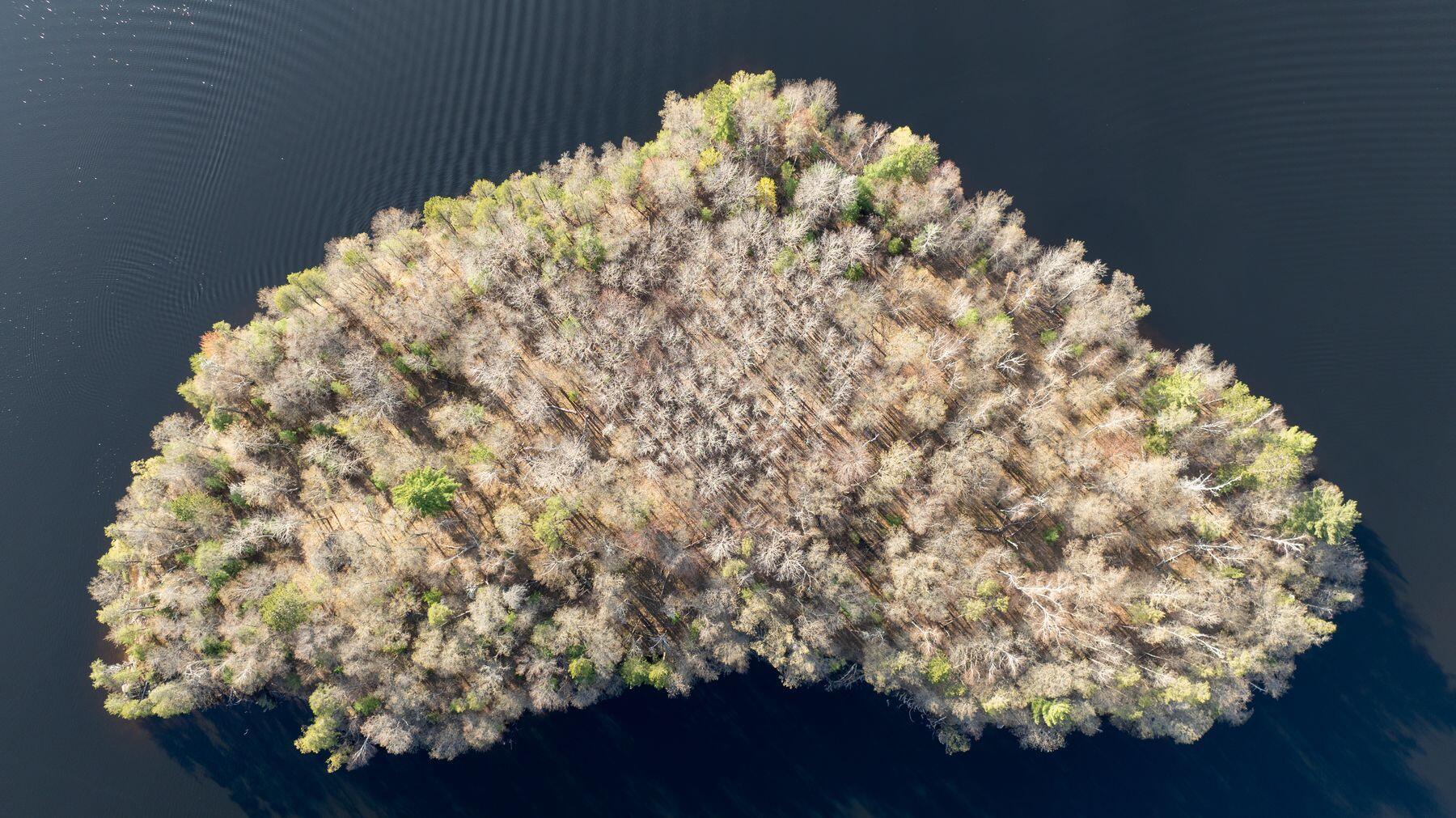 Lt0 Nokomis Island -