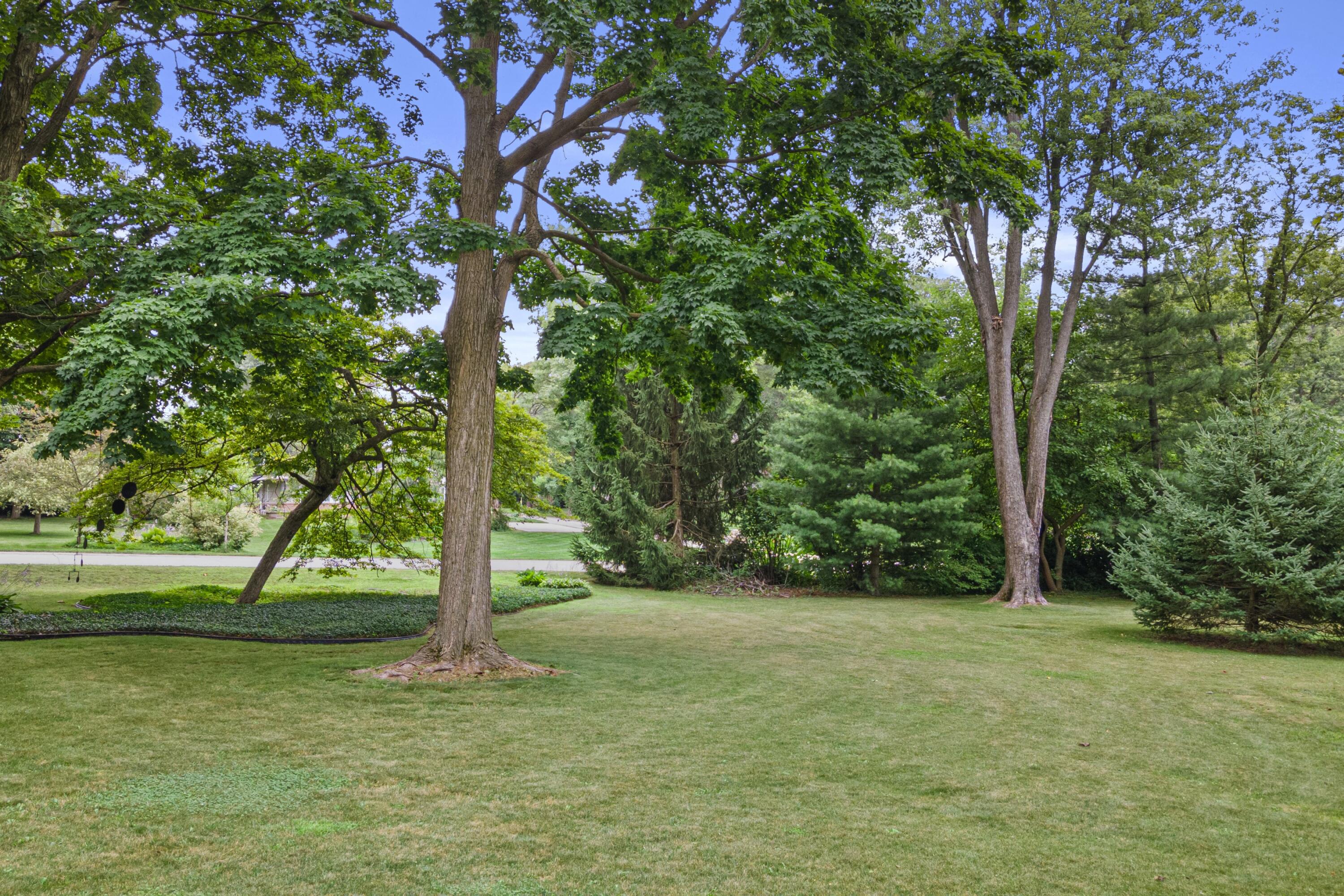 2536 Green Haze Ave