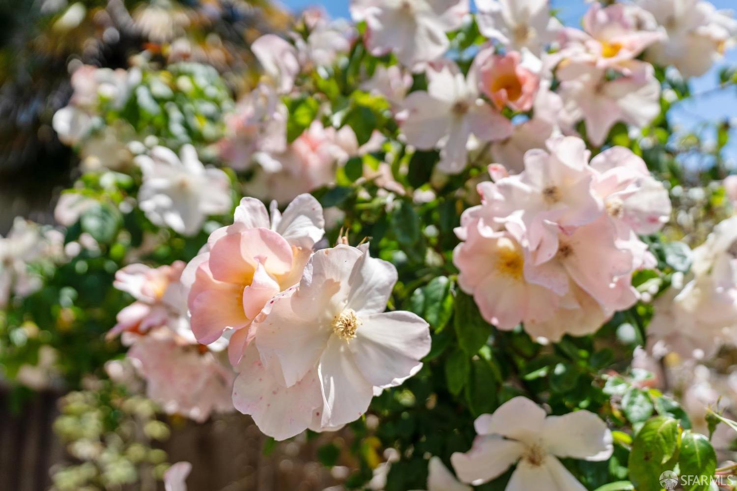 542-544 Presidio Avenue