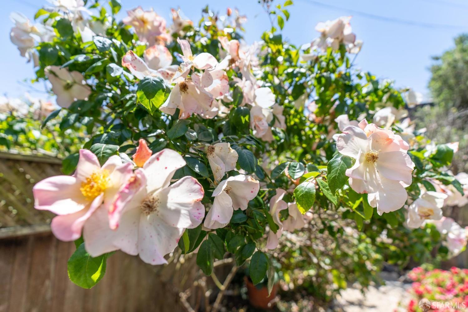 542-544 Presidio Avenue