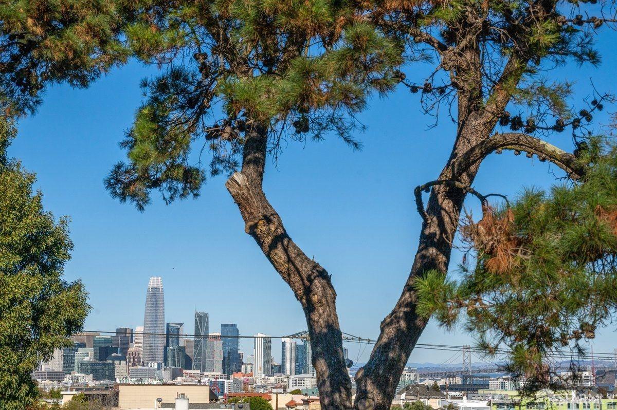 1011 23rd Street # 13