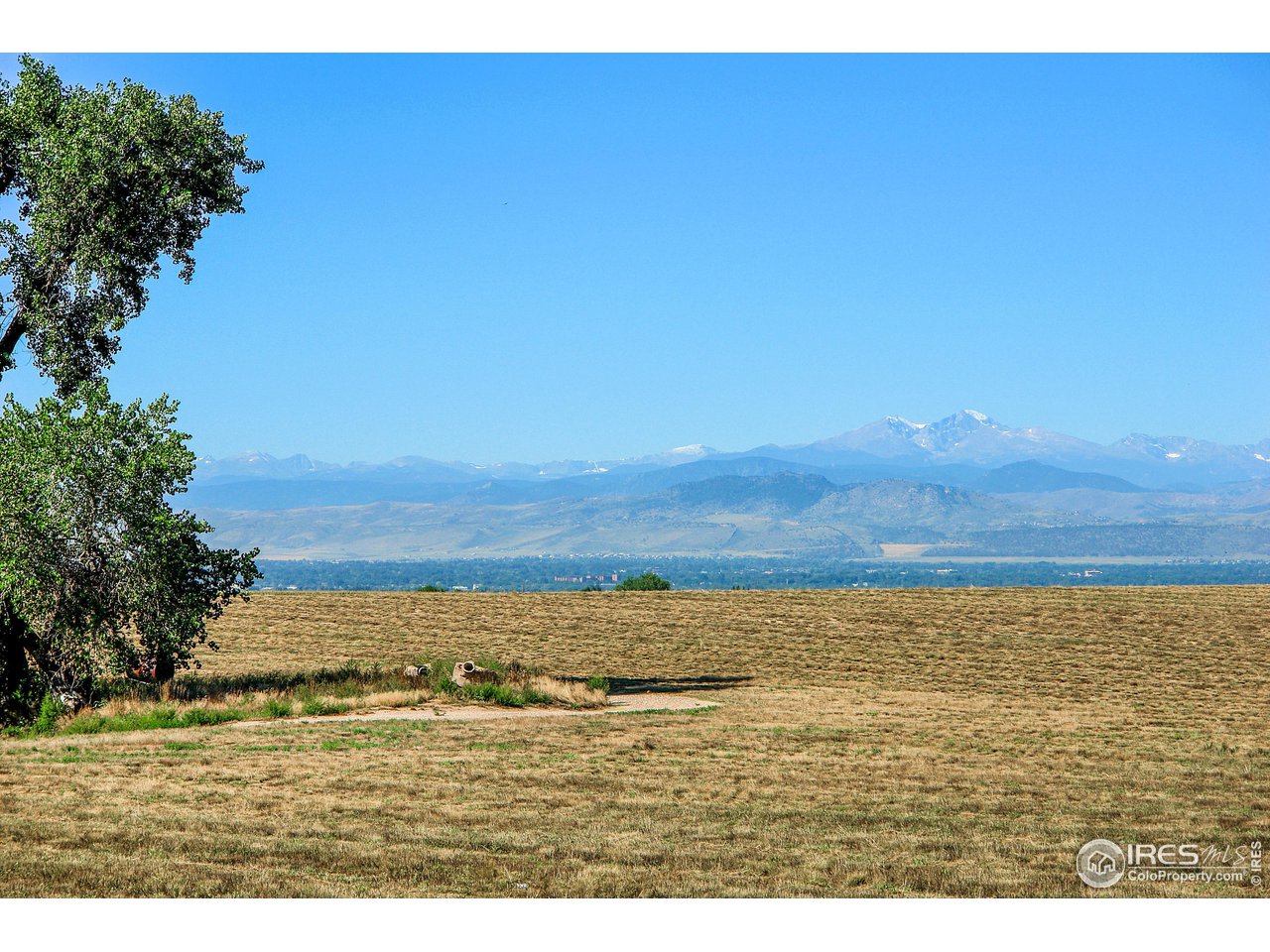 3650 Blossom House Ln