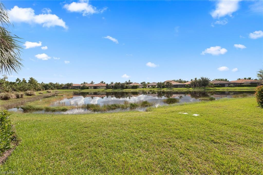 4656 Abaca CIR