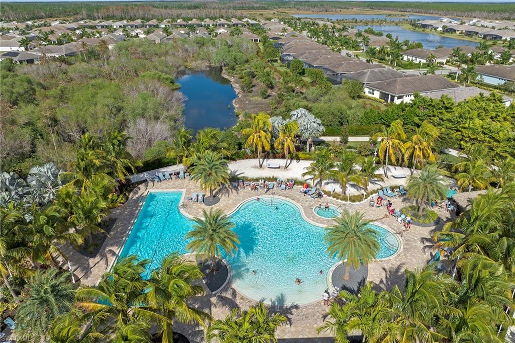 28419 Captiva Shell LOOP
